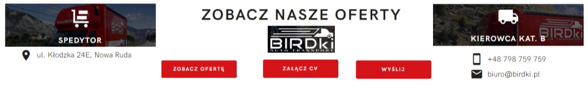 BIRDki AUTO TRANSPORT