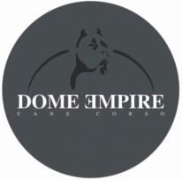 Dome empire