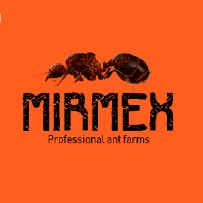 Mirmex Ant Farms