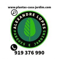 Plantas-Casa-Jardim.com
