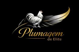 PLUMAGEM DE ELITE