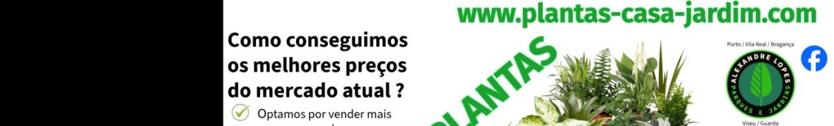 Plantas-Casa-Jardim.com
