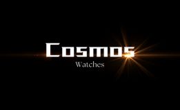 Cosmos Time