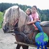 Ionut Andronicescu