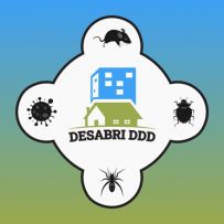 DESABRI.CORNEA SRL
