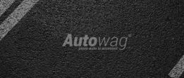 AutoWag