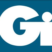 Gi Group Staffing Company