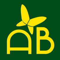 AnneBebe