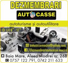 SC AutoCasse SRL
