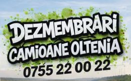 Dezmembrari Camioane Oltenia