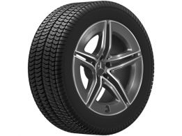 sc b&v service promotion srl