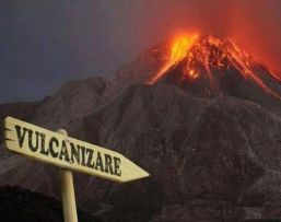 S.C. EDYFLODAVID S.R.L.