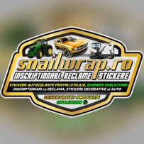 CIUCARDEL VASILE COSTINEL PFA