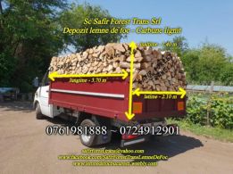 Sc Safir forest Trans Srl