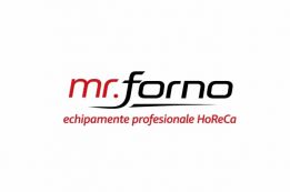 mr forno RomanIa logo