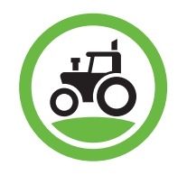 Cauciucuri