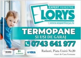 Expert Lorys Ferestre