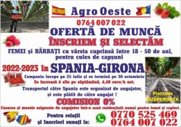 Agro Oestefresa SRL