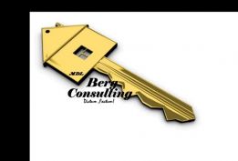 Mdl Berg Consulting