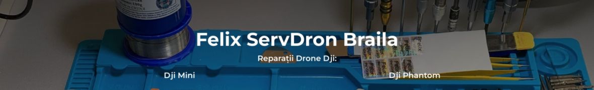 Felix ServDron Braila