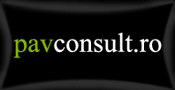PavConsult
