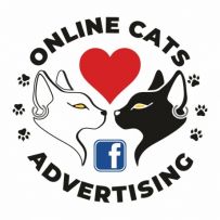 Online Cats Srl