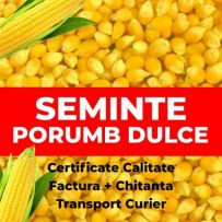 Seminte