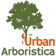 Arboristica.ro - Arborist Alpinist Toaletare Taiere Copaci în România