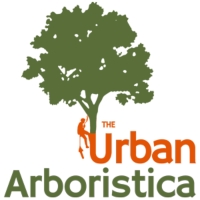 Arboristica - Toaletare livezi arbori pomi "copaci" doborare elagaj
