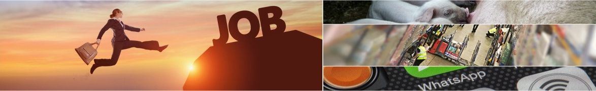 Job Warp
