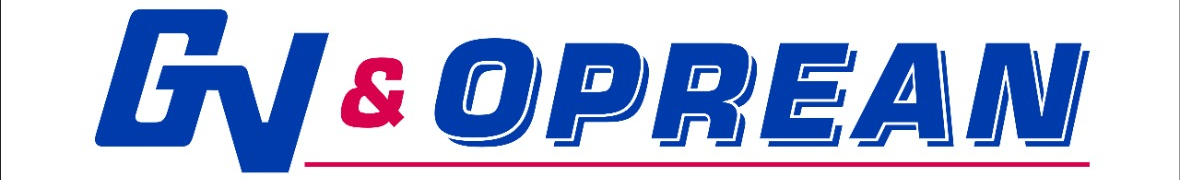 GV & Oprean Logistics