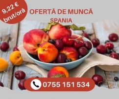 BERRIES LOS MIMBRALES