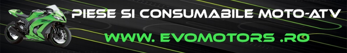 SC. EVO MOTORS BACAU. SRL