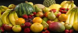 Goe legume fructe logo