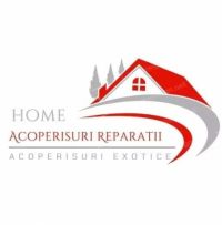 ACOPERISURI REPARATII