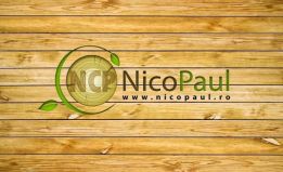 SC NICO PAUL SRL