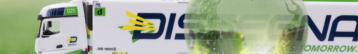 DISSEGNIA LOGISTICS ROMANIA SRL
