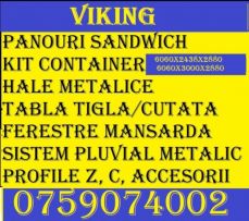 Viking