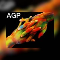 AGP Vectorial Trade SRL