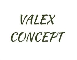 Valex Concept SRL