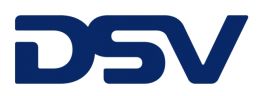 DSV SOLUTIONS SRL