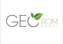 GEO ROM SRL