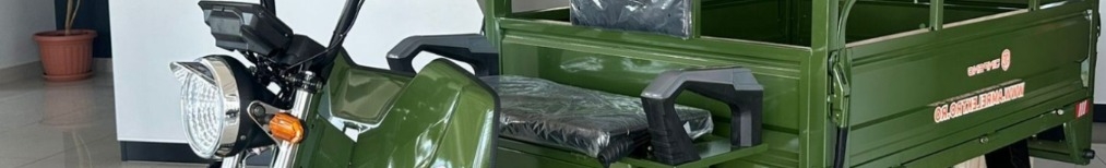 AMR ELEKTRO CARGO