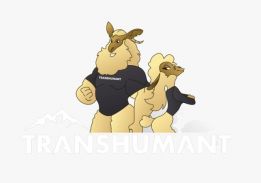 Transhumant Overlanders SRL