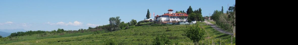 Casa Seciu
