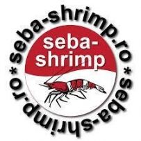 seba-shrimp.ro