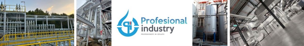 PROFESIONAL INDUSTRY SRL