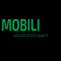 VDM MobiliArt SRL