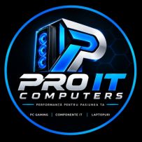 Pro IT Service logo