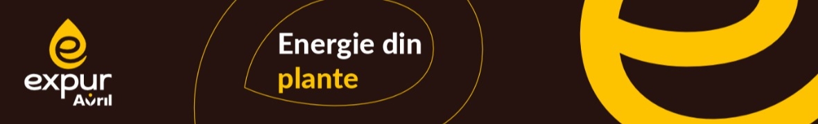 recrutare